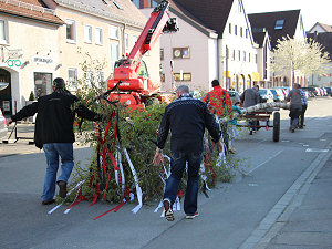 Maibaumaufstellen 2016